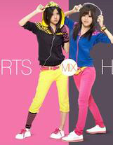 喜得龍集團(tuán)榮譽(yù)上繼續(xù)騰飛 2015再創(chuàng)輝煌